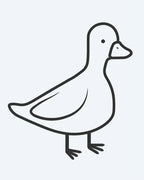 Little Duck