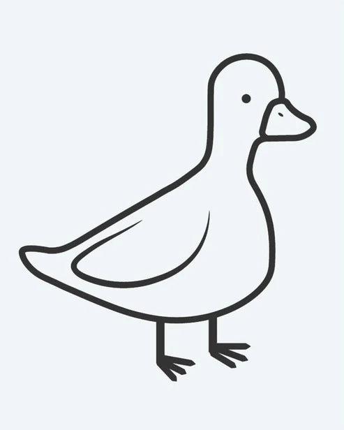 Little Duck