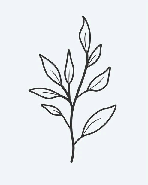 Leaf Branch