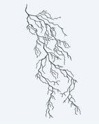 Lightning Bolt