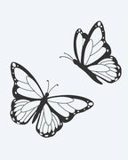 Butterfly Pair