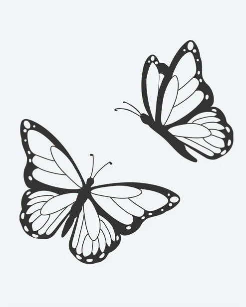 Butterfly Pair
