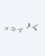 Flying Birds