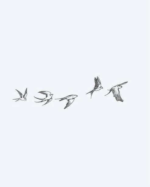Flying Birds