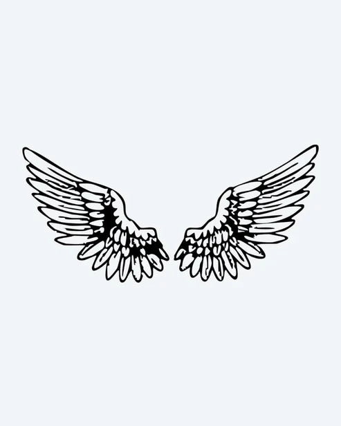 Angel Wings Pair