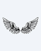 Angel Wings Pair