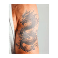 Fearless dragon